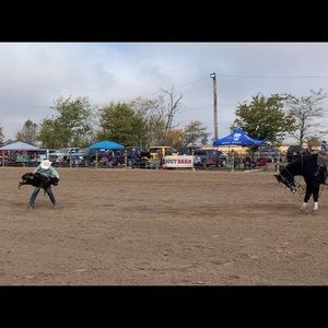 Meet your Posher, Duncan